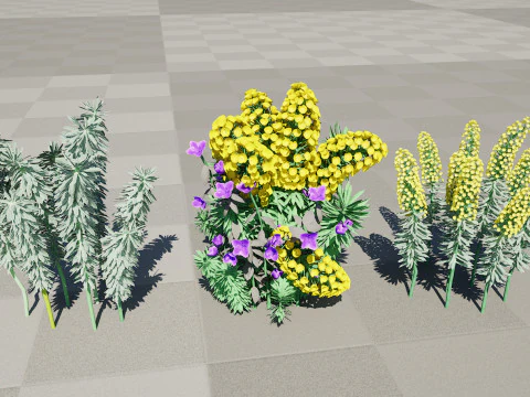 Gopher Spurge 3D Model