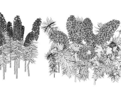 Gopher Spurge 3D Model