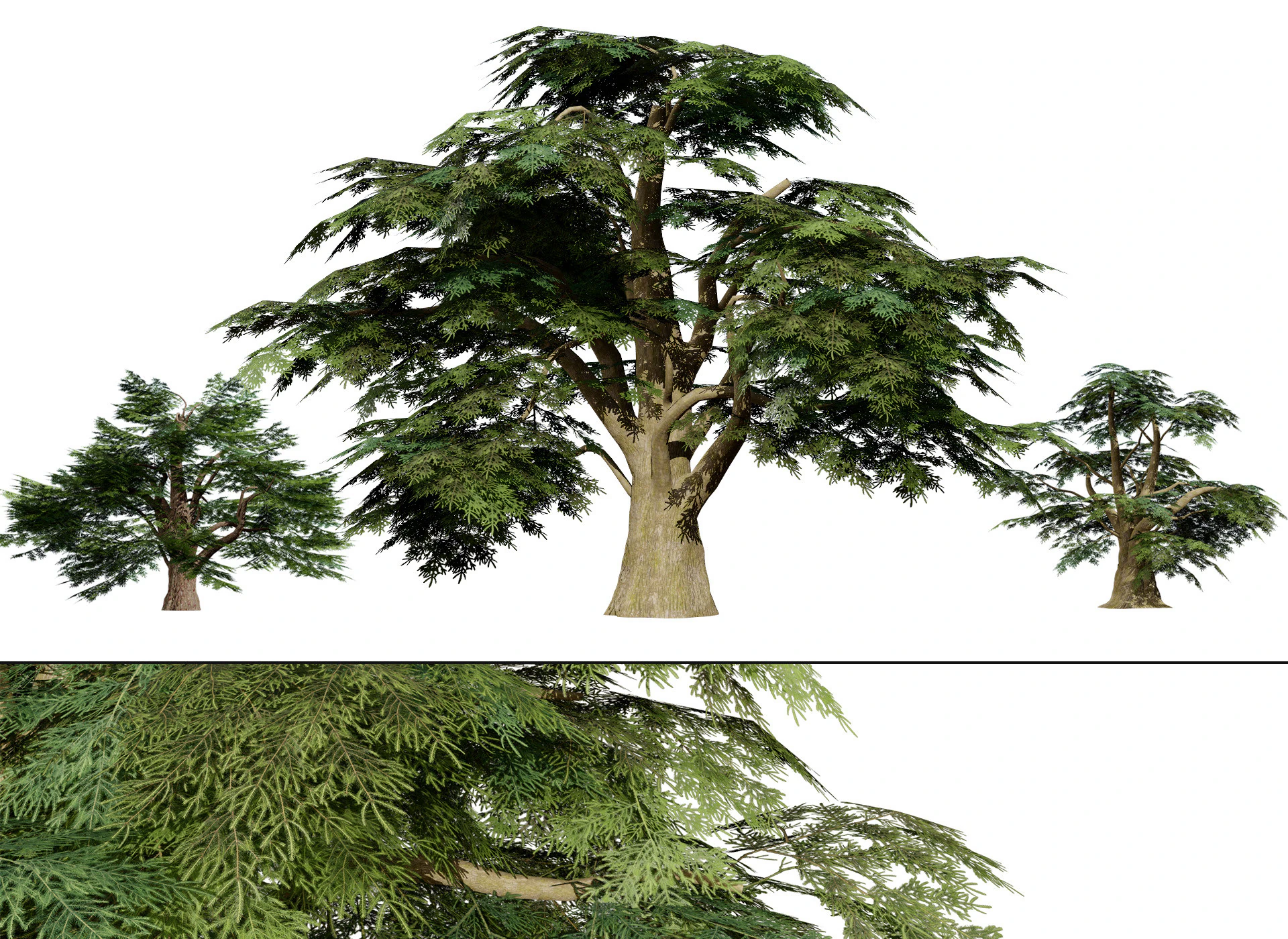 Game Ready Cedar of Lebanon Trees 3d assets 3D Model .c4d .max .obj .3ds .fbx .stl .blend 