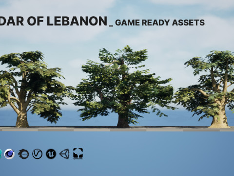 Game Ready Cedar of Lebanon Trees 3d assets Modelo 3D