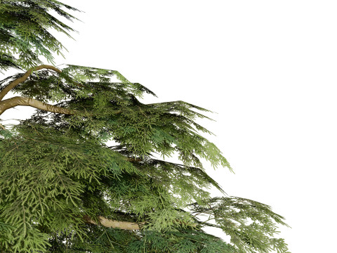 Game Ready Cedar of Lebanon Trees 3d assets Modelo 3D