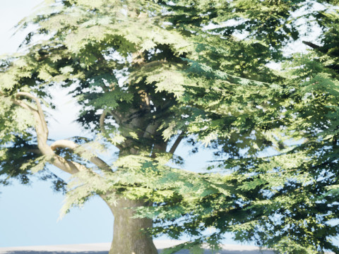 Game Ready Cedar of Lebanon Trees 3d assets Modelo 3D