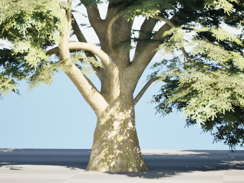 Game Ready Cedar of Lebanon Trees 3d assets Modelo 3D