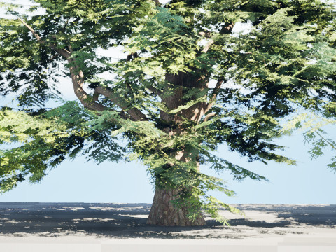 Game Ready Cedar of Lebanon Trees 3d assets Modelo 3D