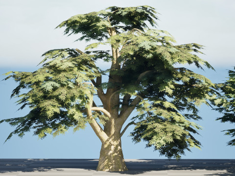 Game Ready Cedar of Lebanon Trees 3d assets Modelo 3D