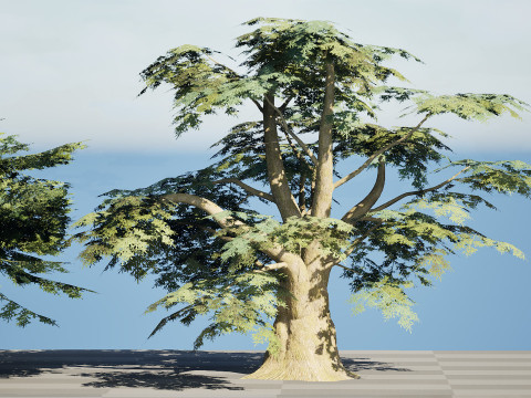 Game Ready Cedar of Lebanon Trees 3d assets Modelo 3D