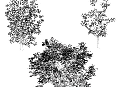 Autumn Oak Trees 3D Model