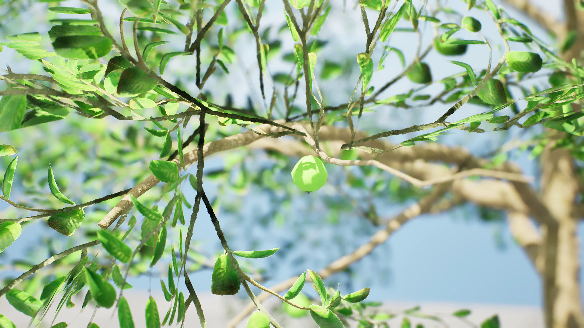 Albero di guava pronto per il gioco con tutorial gratuito Modello 3D .c4d .max .obj .3ds .fbx .stl .blend