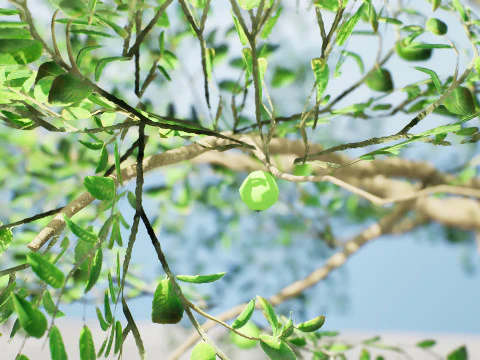 Готове до гри дерево гуава з безкоштовним посібником 3D Модель