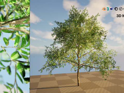 Game-Ready Guava Tree with free Tutorial Model 3D