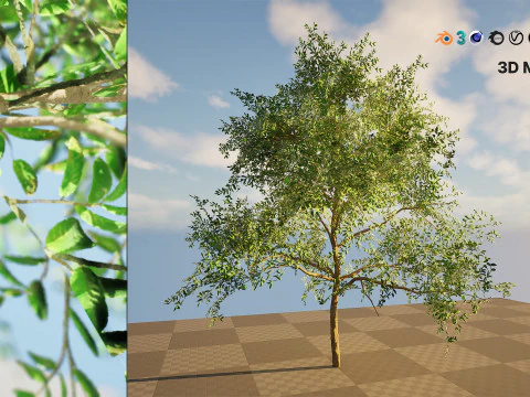 Albero di guava pronto per il gioco con tutorial gratuito Modello 3D