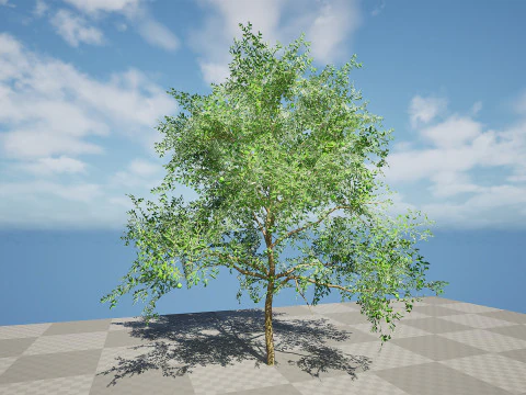Albero di guava pronto per il gioco con tutorial gratuito Modello 3D