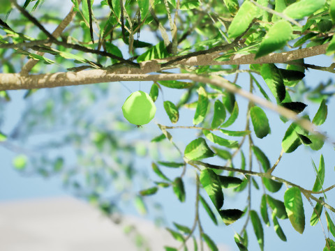 Game-Ready Guava Tree with free Tutorial Model 3D
