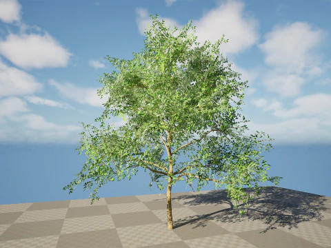 Albero di guava pronto per il gioco con tutorial gratuito Modello 3D