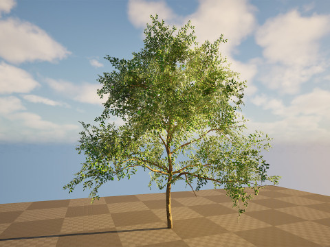 Game-Ready Guava Tree with free Tutorial Model 3D