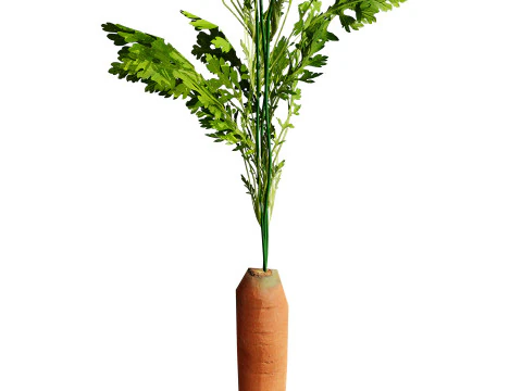 3D Carrot Plant 3D Model