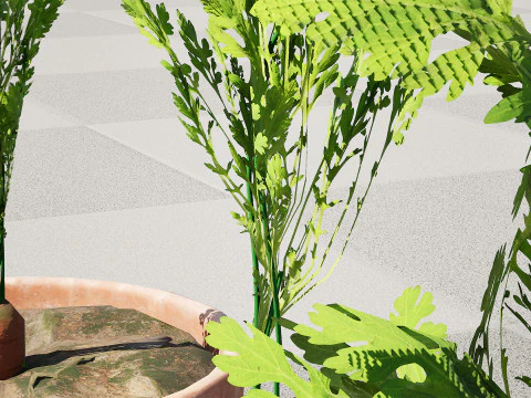 3D Carrot Plant 3D Model