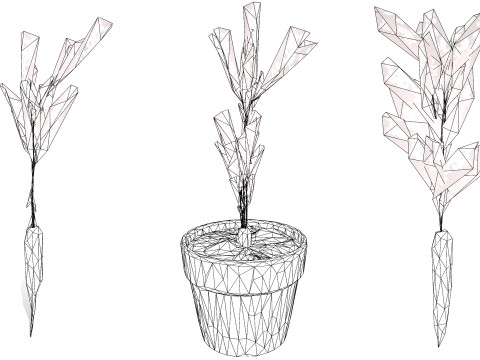 3D Carrot Plant 3D 모델