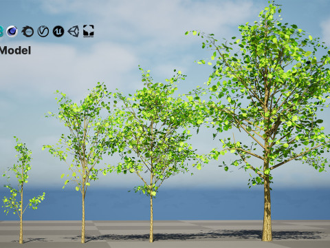 Lowpoly Katsura Tree 3D 모델