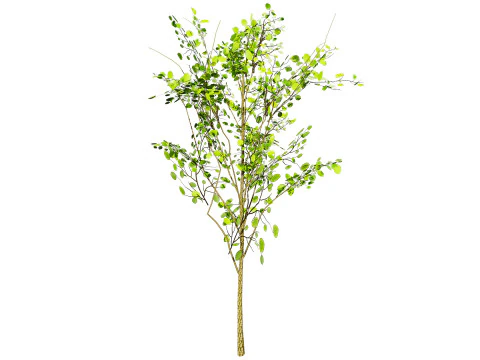 Lowpoly Katsura Tree 3D Model