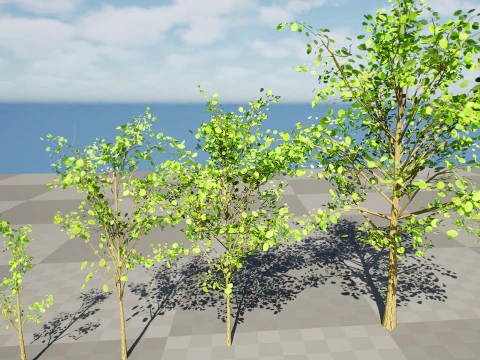 Lowpoly Katsura Tree 3D Model