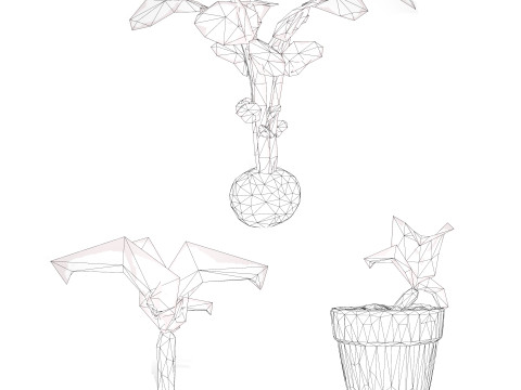 Radish Plant Collection 3D Model