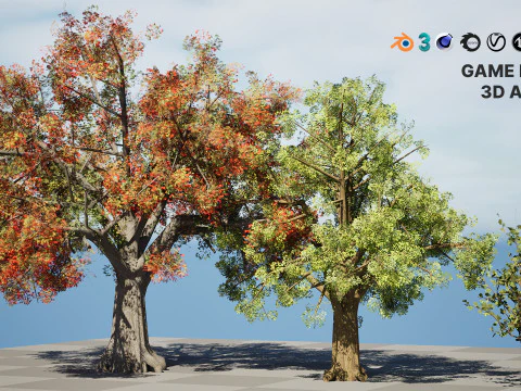 Quercus Tree Pack 3D Model