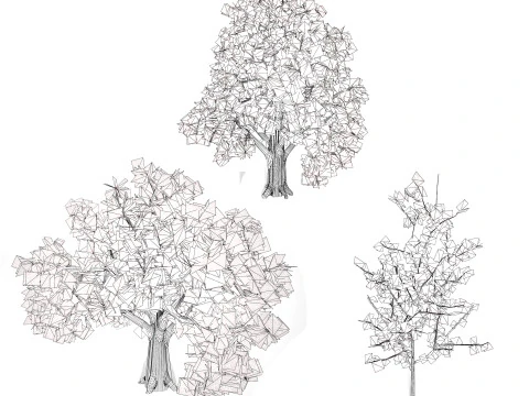 Quercus Tree Pack 3D Model