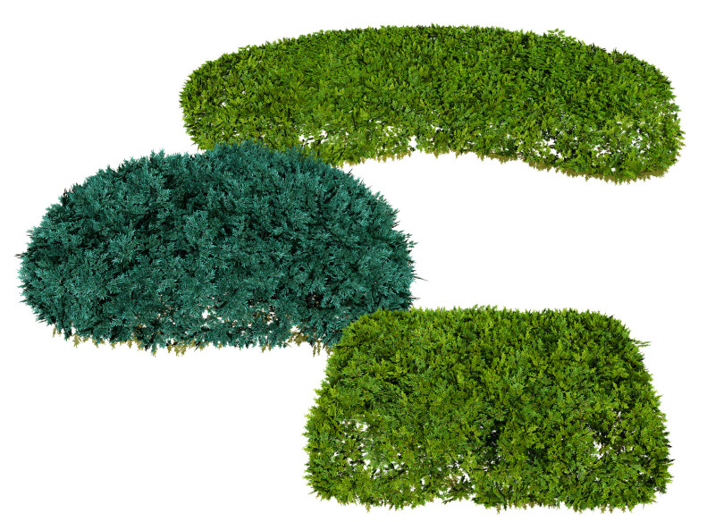 Juniper Bushes Modelo 3D .c4d .max .obj .3ds .fbx .stl .blend