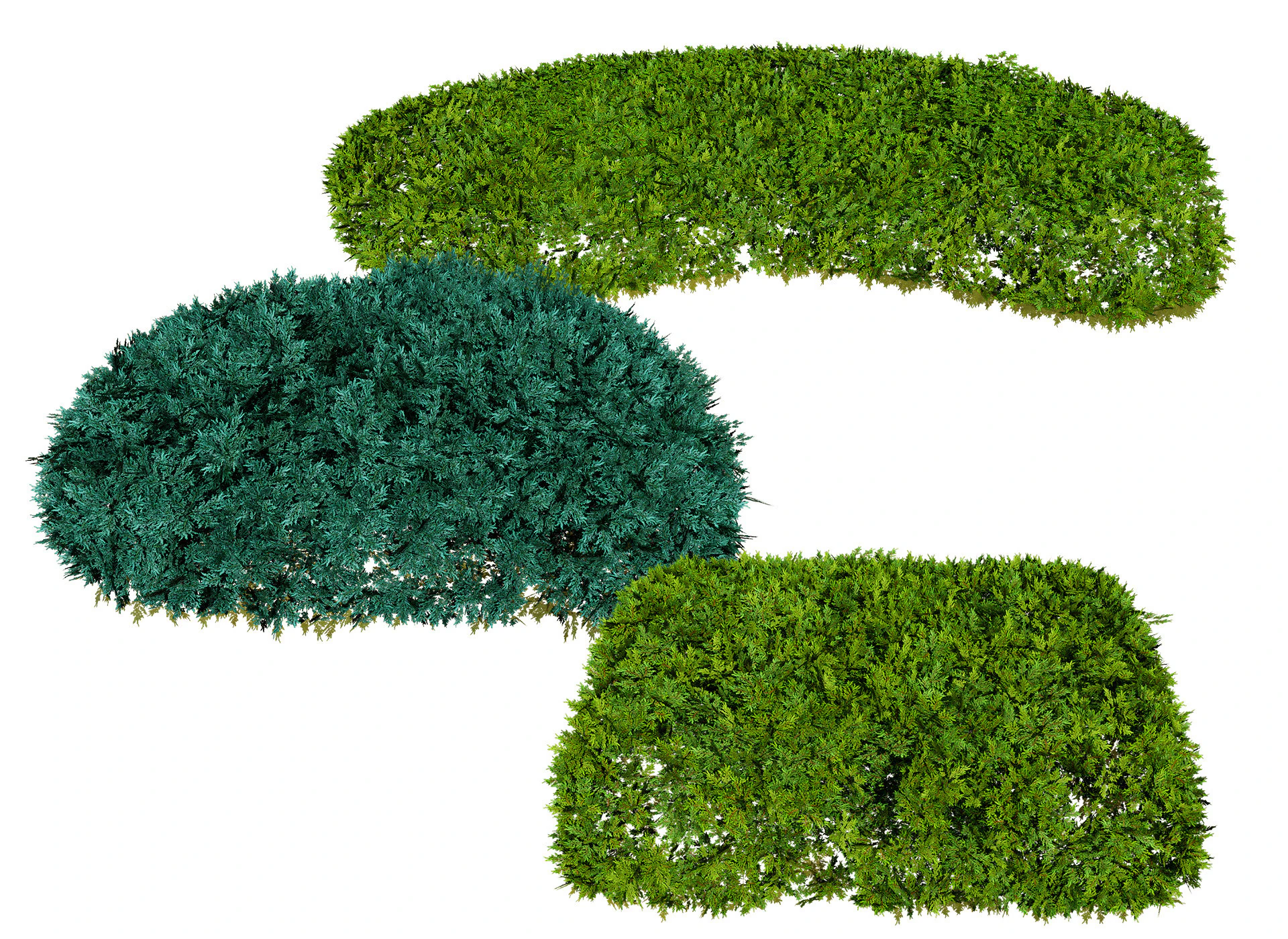 Juniper Bushes 3D Model .c4d .max .obj .3ds .fbx .stl .blend 