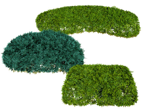 Juniper Bushes 3D Модель