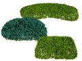 Juniper Bushes 3D Модель