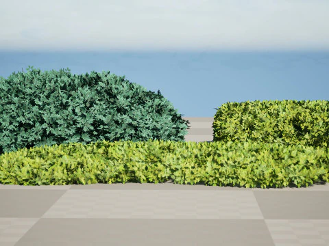 Juniper Bushes 3D Model