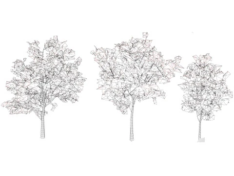 Bl&uuml;hender Gummibaum 3D Modell