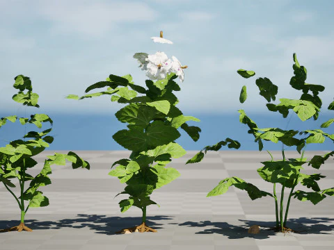 Potato Plant 3D Model