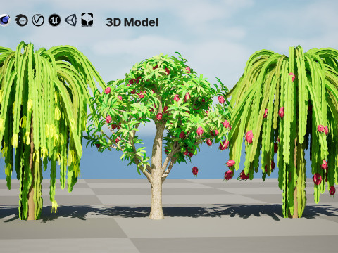 Dragon Fruit Plant 3Dモデル