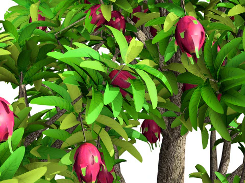 Pianta da frutto del drago Modello 3D