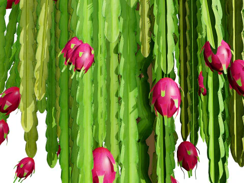 Pianta da frutto del drago Modello 3D