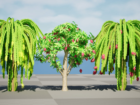 Dragon Fruit Plant 3Dモデル