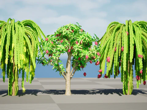 Pianta da frutto del drago Modello 3D