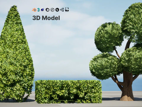 Juniper Bush 3D Model