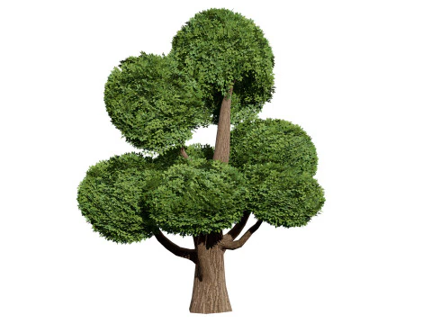 Juniper Bush 3D Model
