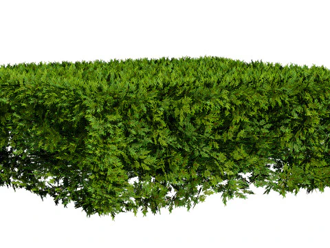 Juniper Bush 3D Model