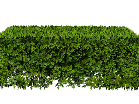 Juniper Bush 3D Model