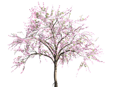 Almond Tree with free 3Dモデル