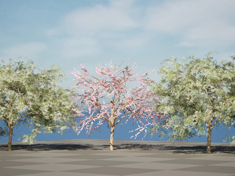 Almond Tree with free 3D Model