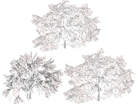 Almond Tree with free 3D Model