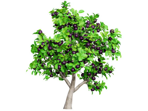 &Aacute;rbol de fruta de la pasi&oacute;n modelo 3d Modelo 3D