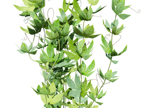 Passion Fruit Tree 3D 3D 모델