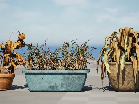 Dead Plant 3D Collection 3D-Modell